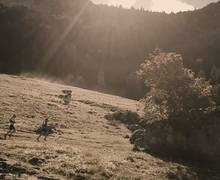 Teaser Trail des Glieres 2019